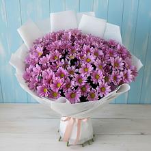 Букет цветов из:  Хризантемы в Ленинское