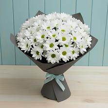 Букет цветов из:  Хризантемы в Ленинское