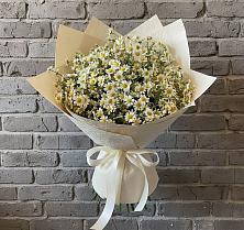 Букет цветов из:  Ромашки #REPLACE_PRED# Ленинское