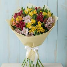 Букет цветов из:  Альстромерии в Ленинское